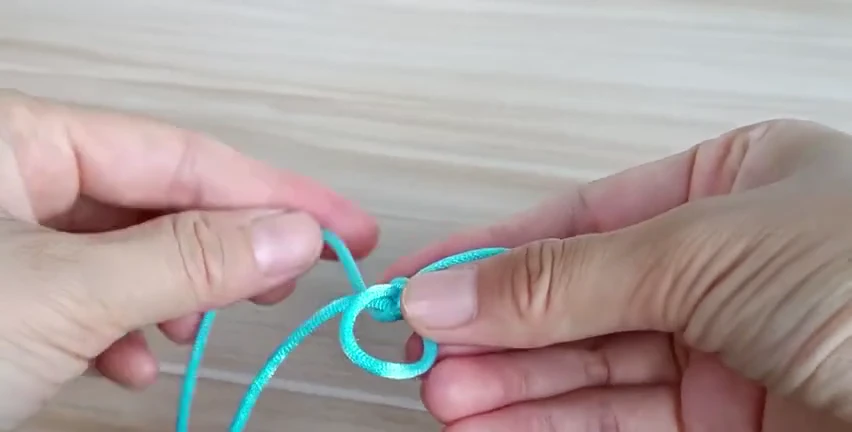 Step 5: Feed the paired end back — 蛇结