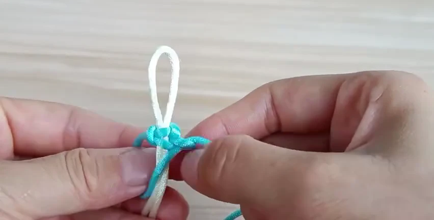 The second, opposite half closes below the first around the white core