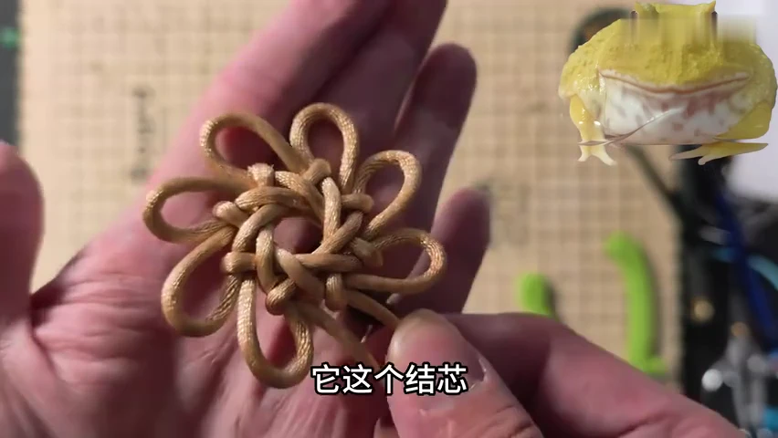 Eight-Loop Star Knot shown in the video tutorial